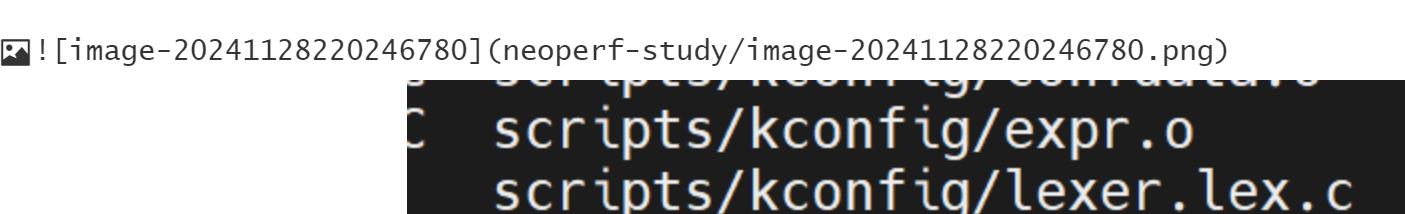 image-20241128220300318