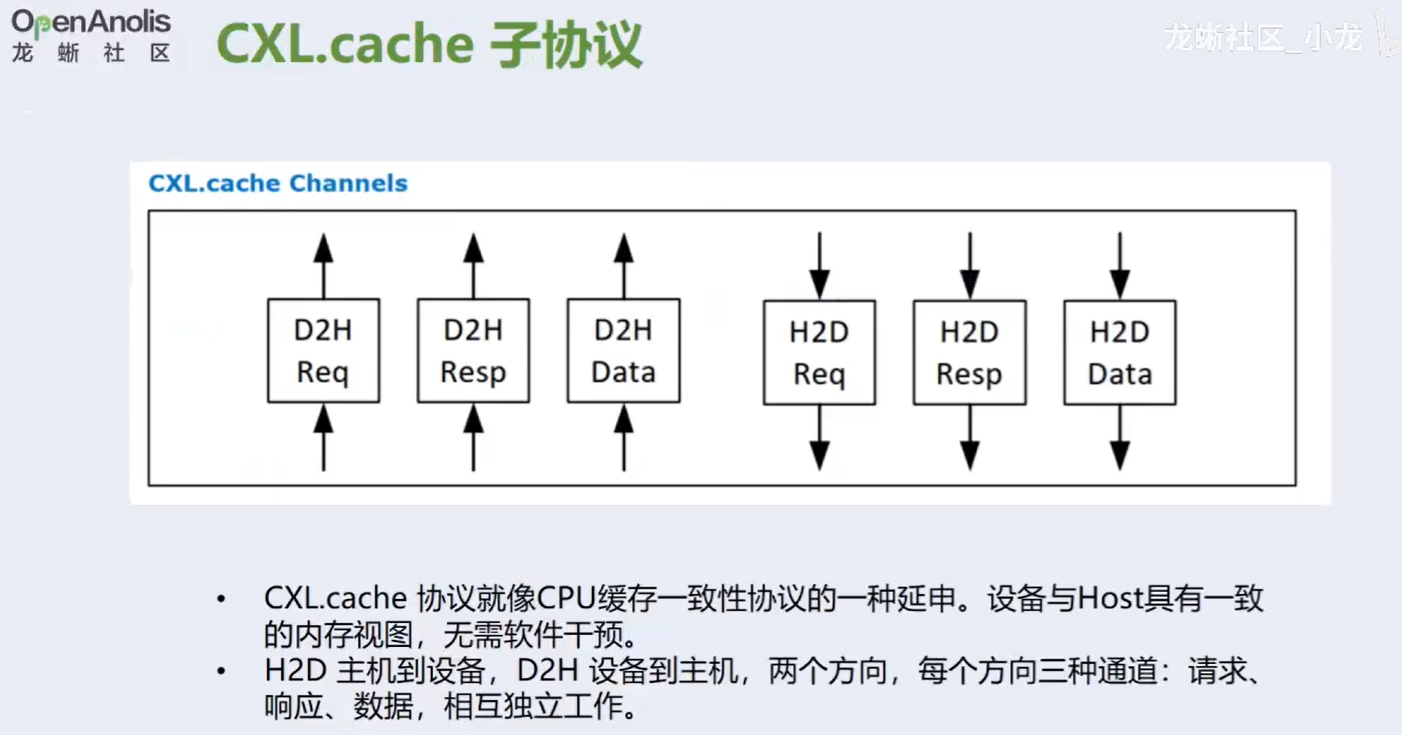 image-20250106135125126